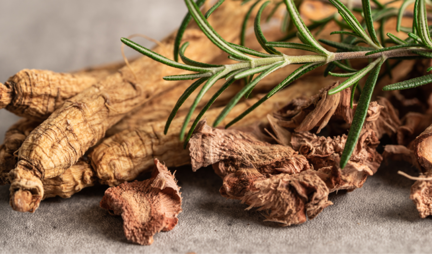 Ginseng and rosemary – adaptogenic herbs supporting concentration and vitality