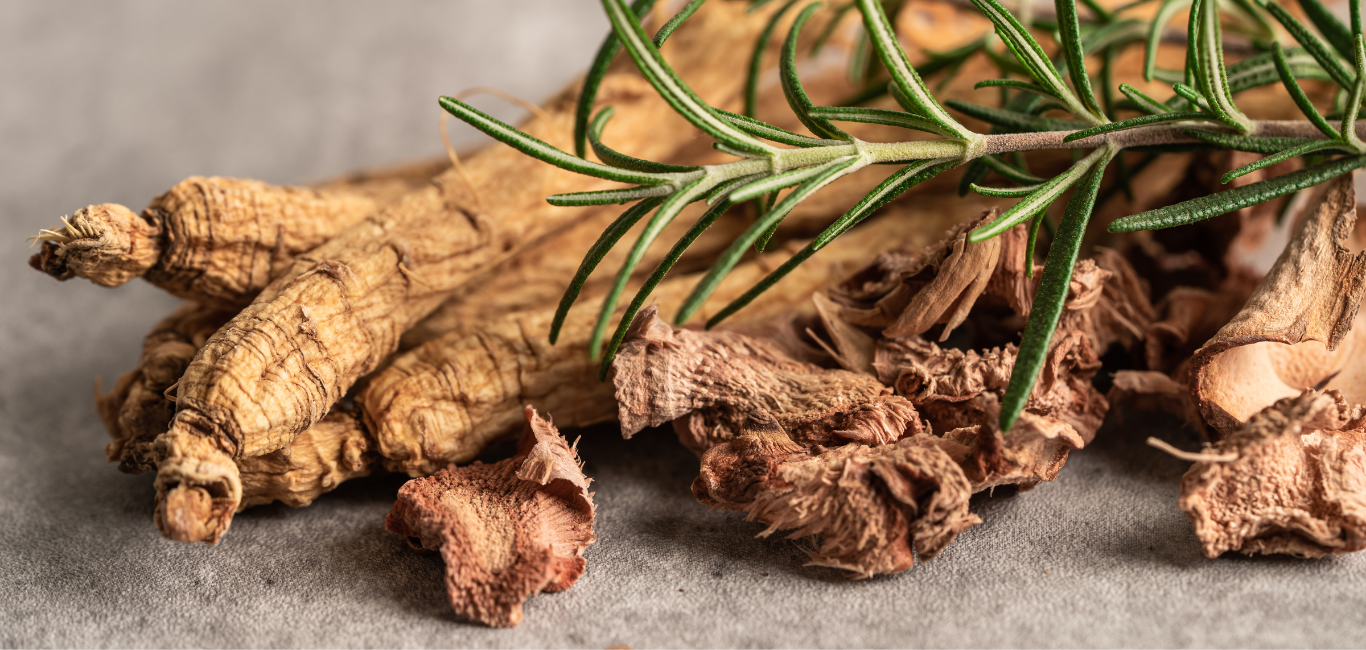 Boost Your Energy with Ginseng Shots Ginseng and rosemary – adaptogenic herbs supporting concentration and vitality